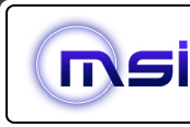 MSI Workforce Management