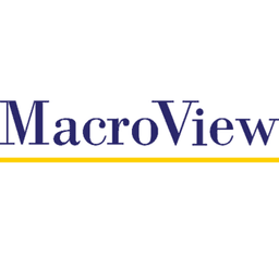 MacroView Case & Matter